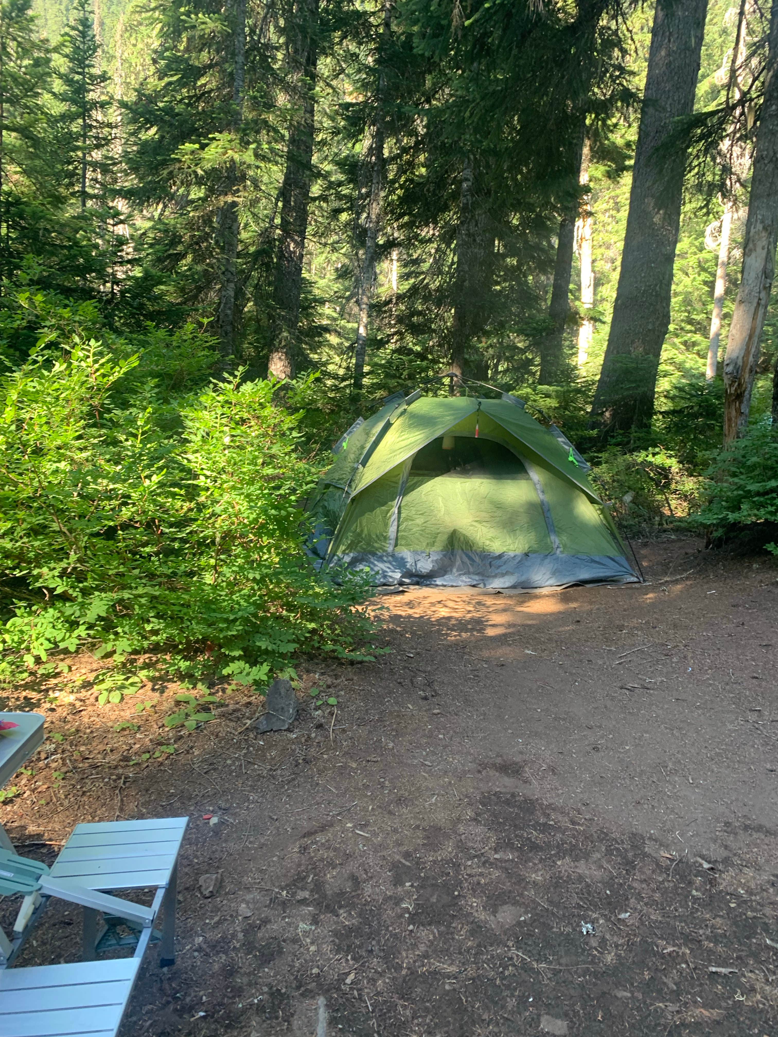 Camper submitted image from Kachess Lake Logging Road Campsites - 3