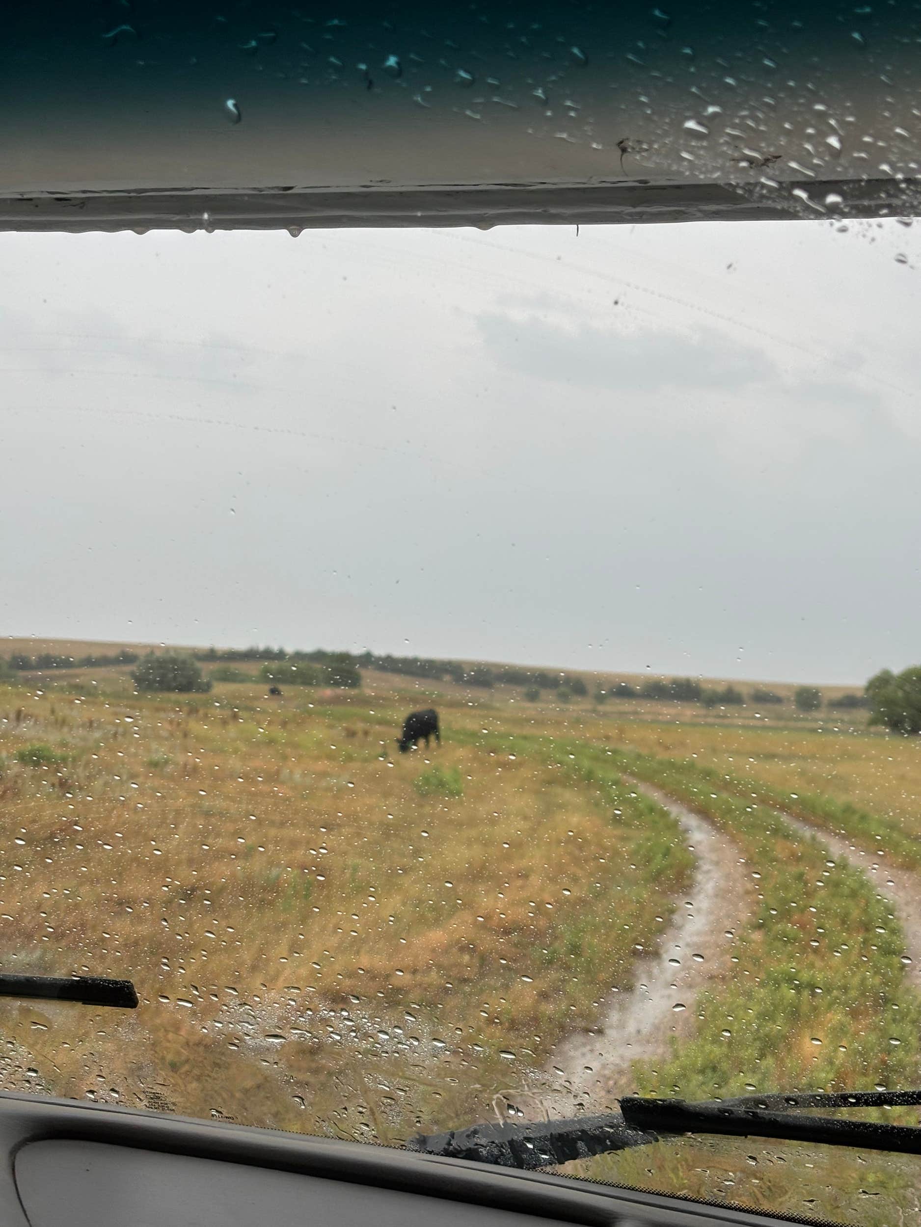 Camper-submitted photo at Kadoka Lake near Philip, SD