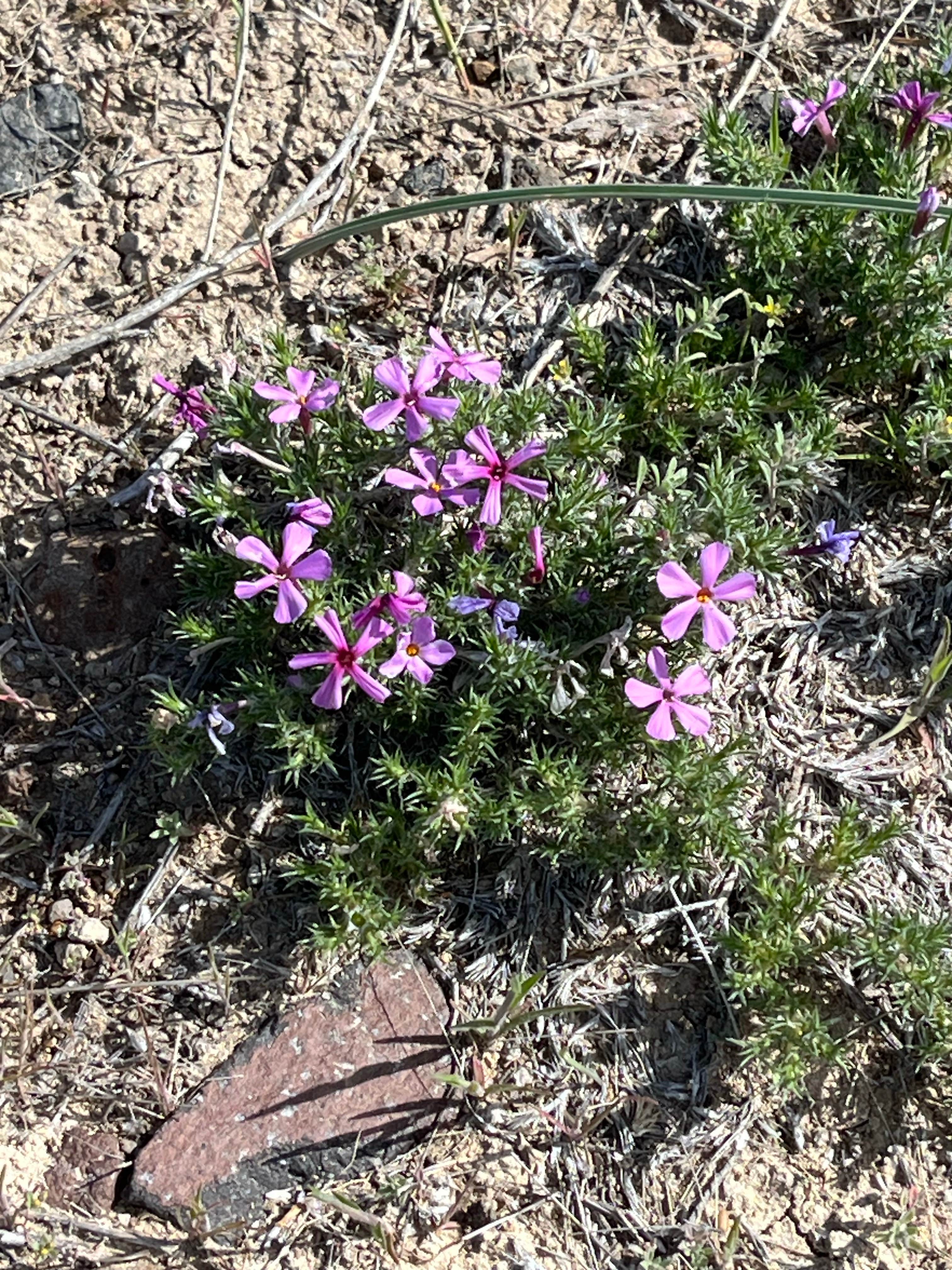 Camper-submitted photo at Kah-Nee-Ta High Desert RV Park near Moro, OR
