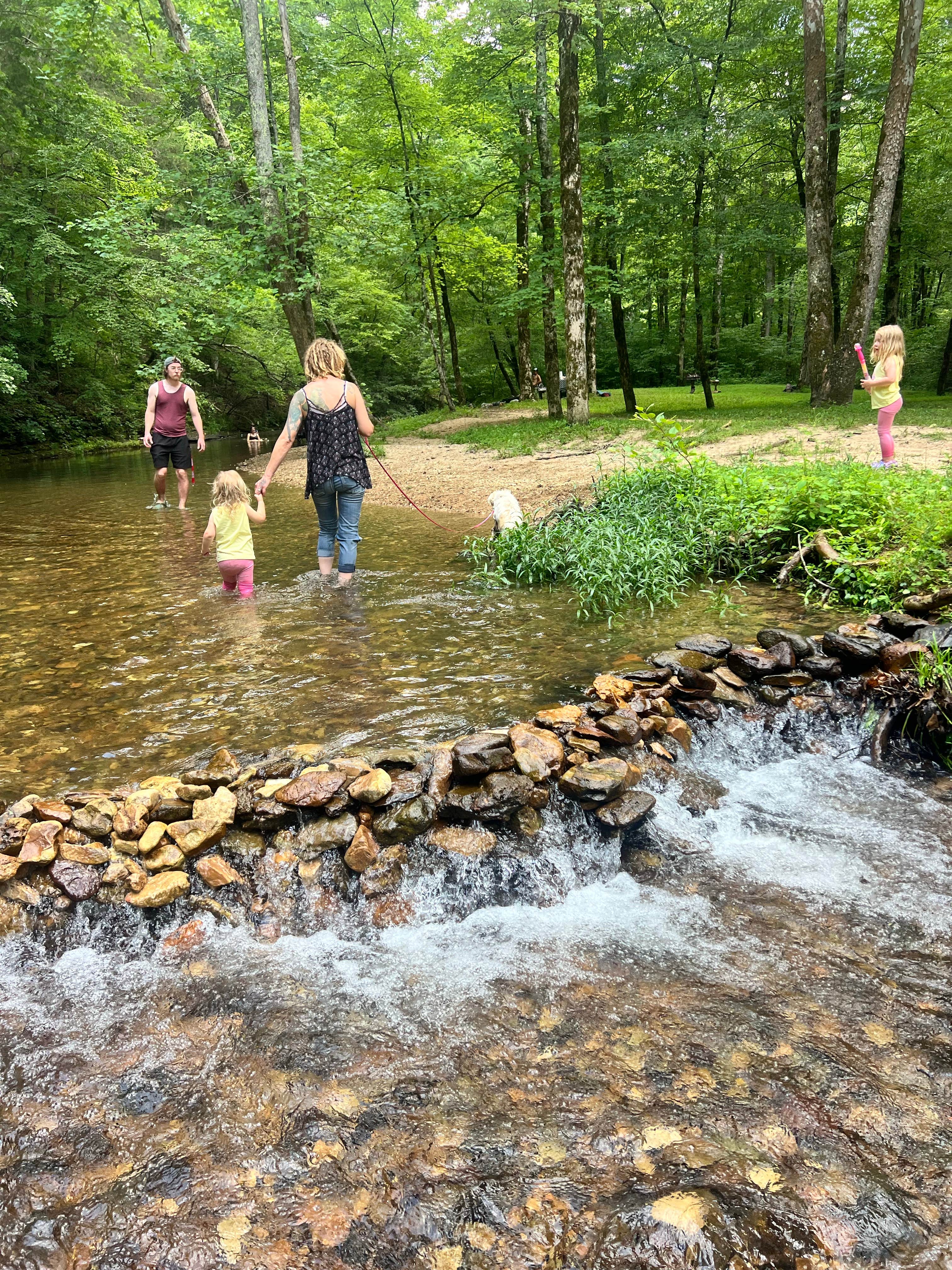 Alyssa B.'s photo of camping with pets at Kahu Farm’s Ravine Lookout near Lawrenceburg, TN