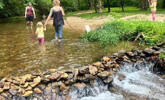 Alyssa B.'s photo of camping with pets at Kahu Farm’s Ravine Lookout near Lawrenceburg, TN