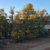 Review photo of Kaibab Forest Dispersed FR 682 by MrCopperhead1974 , April 16, 2026