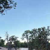 Review photo of Kaibab Forest Dispersed FR 682 by Vinny D., March 24, 2026