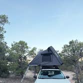 Review photo of Kaibab Forest Dispersed FR 682 by Vinny D., March 24, 2026