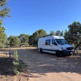 Review photo of Kaibab Forest Dispersed FR 682 by Colin M., June 21, 2025