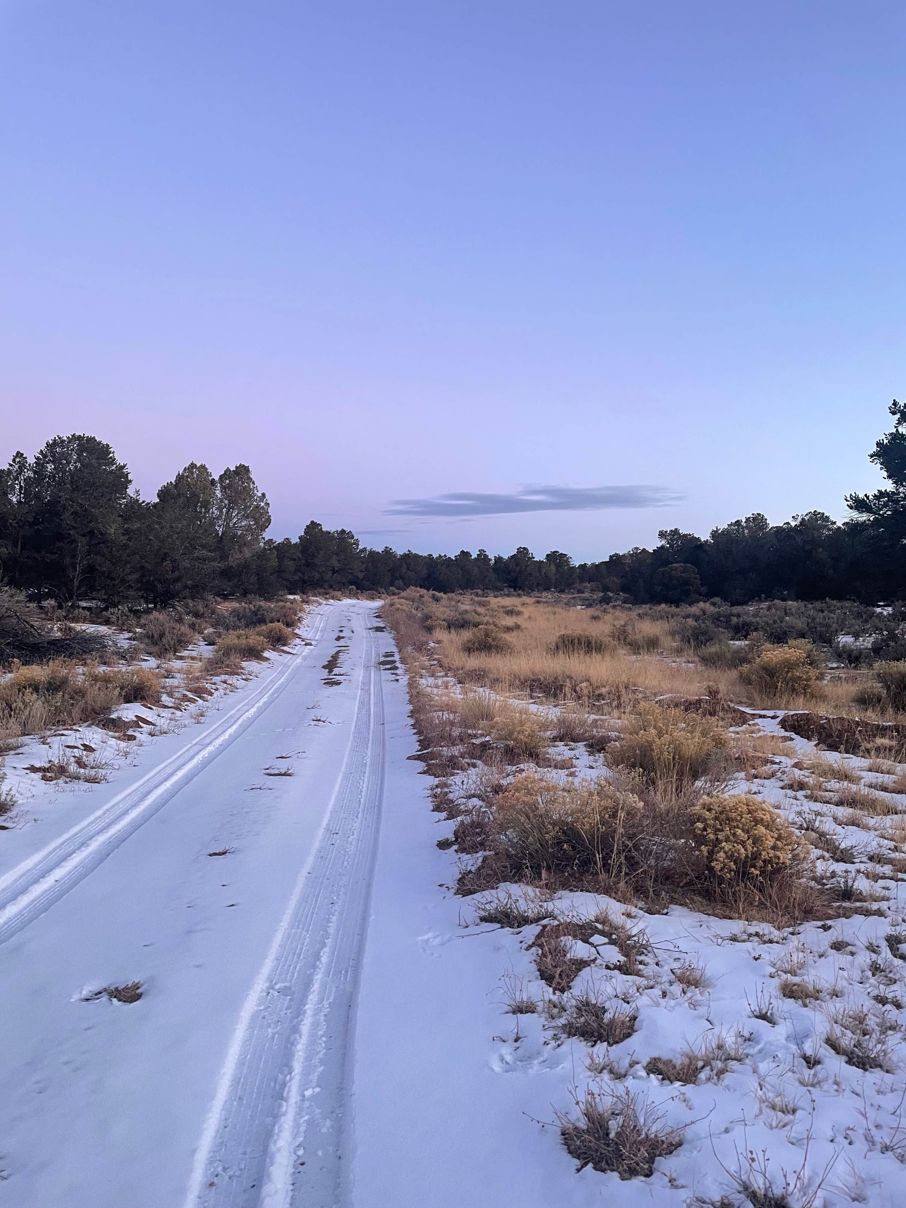 Fabian S.'s photo of a dispersed camping area at Kaibab Forest Dispersed FR 682 near Tuba City, AZ