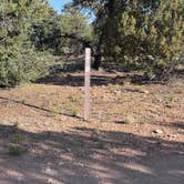 Review photo of Kaibab Forest Dispersed FR 682 by Colin M., June 21, 2025