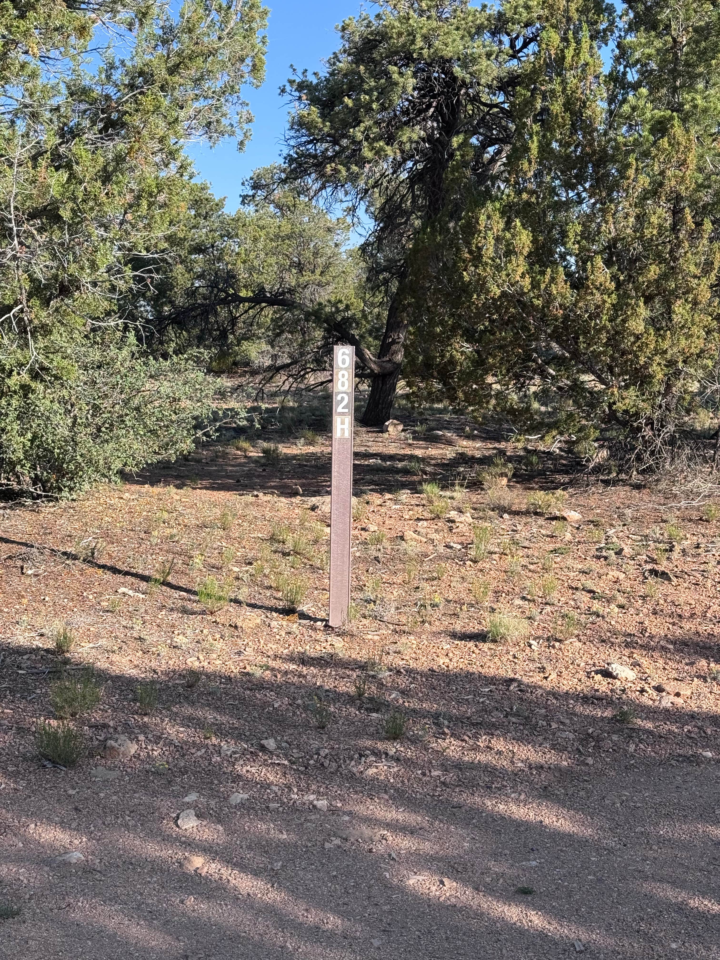 Camper submitted image from Kaibab Forest Dispersed FR 682 - 5