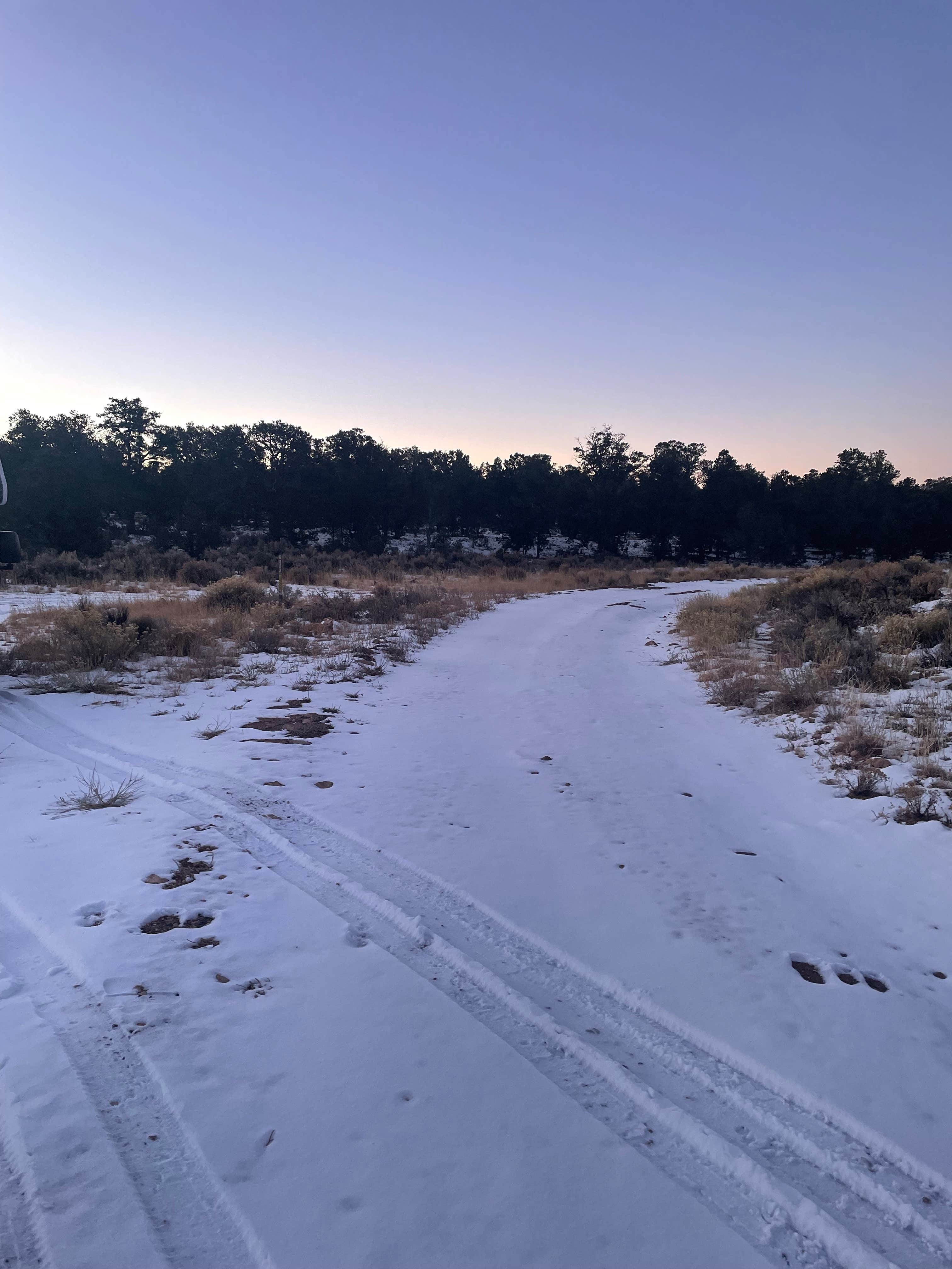 Camper submitted image from Kaibab Forest Dispersed FR 682 - 2