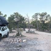 Review photo of Kaibab Forest Dispersed FR 682 by Vinny D., March 24, 2026