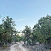 Review photo of Kaibab Forest Dispersed FR 682 by Vinny D., March 24, 2026