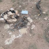 Review photo of Kaibab Forest Dispersed FR 682 by Charlotte S., August 31, 2025