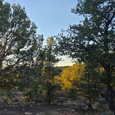 Review photo of Kaibab Forest Dispersed FR 682 by MrCopperhead1974 , April 16, 2026
