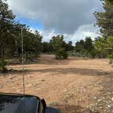 Review photo of Kaibab Forest Dispersed FR 682 by Hannah R., May 14, 2024