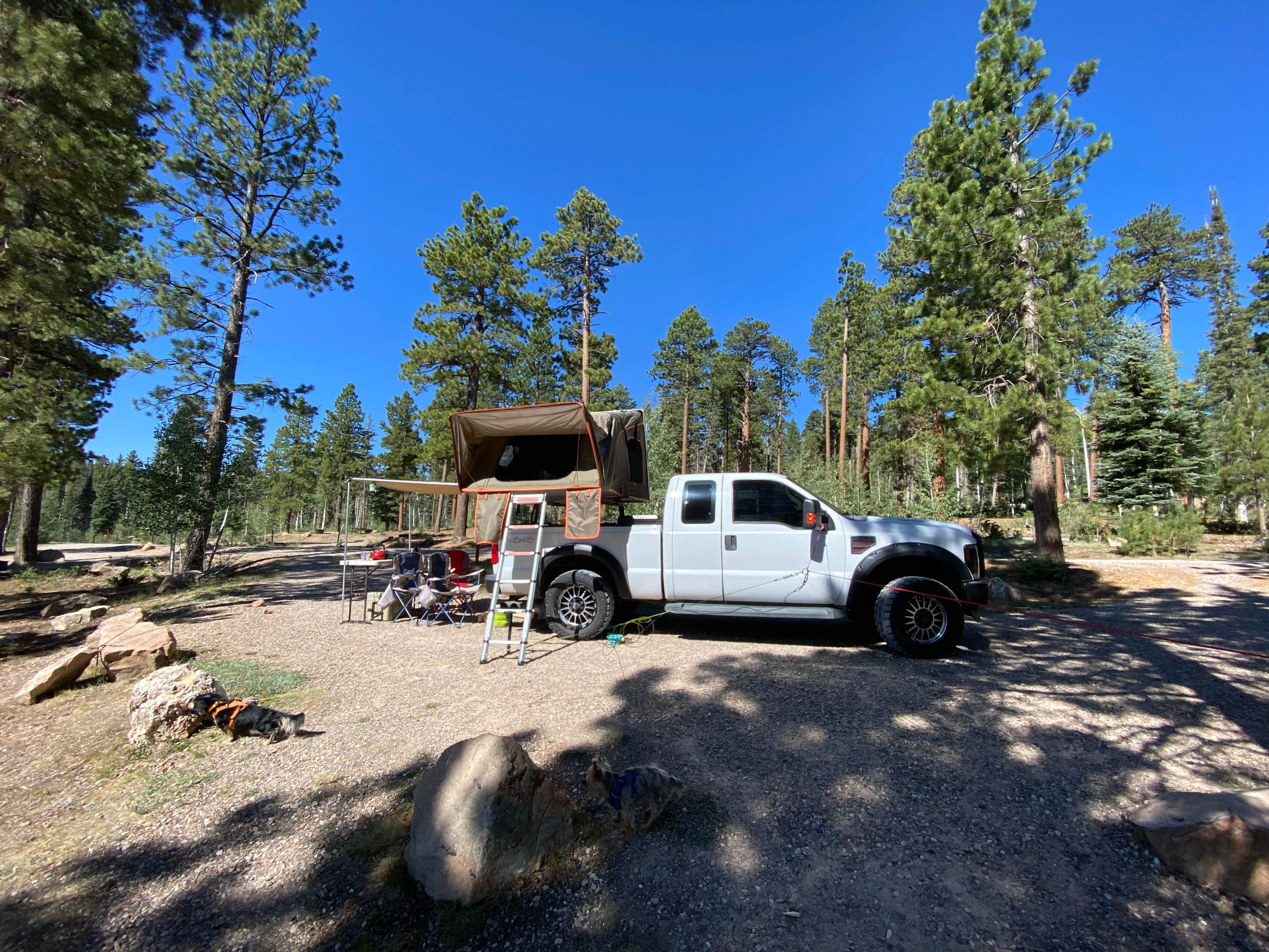 Beth G.'s photo of camping with pets at Demotte Campground — Grand Canyon National Park near Grand Canyon National Park