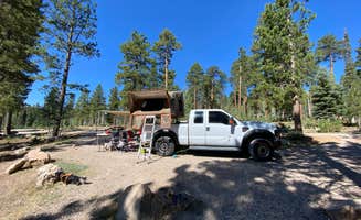 Beth G.'s photo of camping with pets at Demotte Campground — Grand Canyon National Park near Grand Canyon National Park