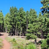 Review photo of Kaibab National Forest Kaibab Lake Campground by Love Yourself V., September 20, 2023