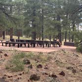 Review photo of Kaibab National Forest Kaibab Lake Campground by Michael , September 3, 2024