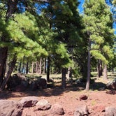Review photo of Kaibab National Forest Kaibab Lake Campground by Love Yourself V., September 20, 2023