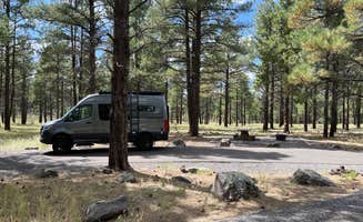 Michael's photo of rv camping at Kaibab National Forest Kaibab Lake Campground near Seligman, AZ