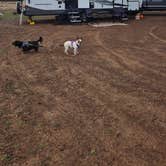 Review photo of Kaibab National Forest by Allison D., January 25, 2026