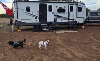 Allison D.'s photo of camping with pets at Kaibab National Forest near Seligman, AZ