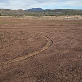 Review photo of Kaibab National Forest by Allison D., January 25, 2026