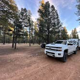 Review photo of Kaibab Rd 302 by Christian M., November 13, 2024