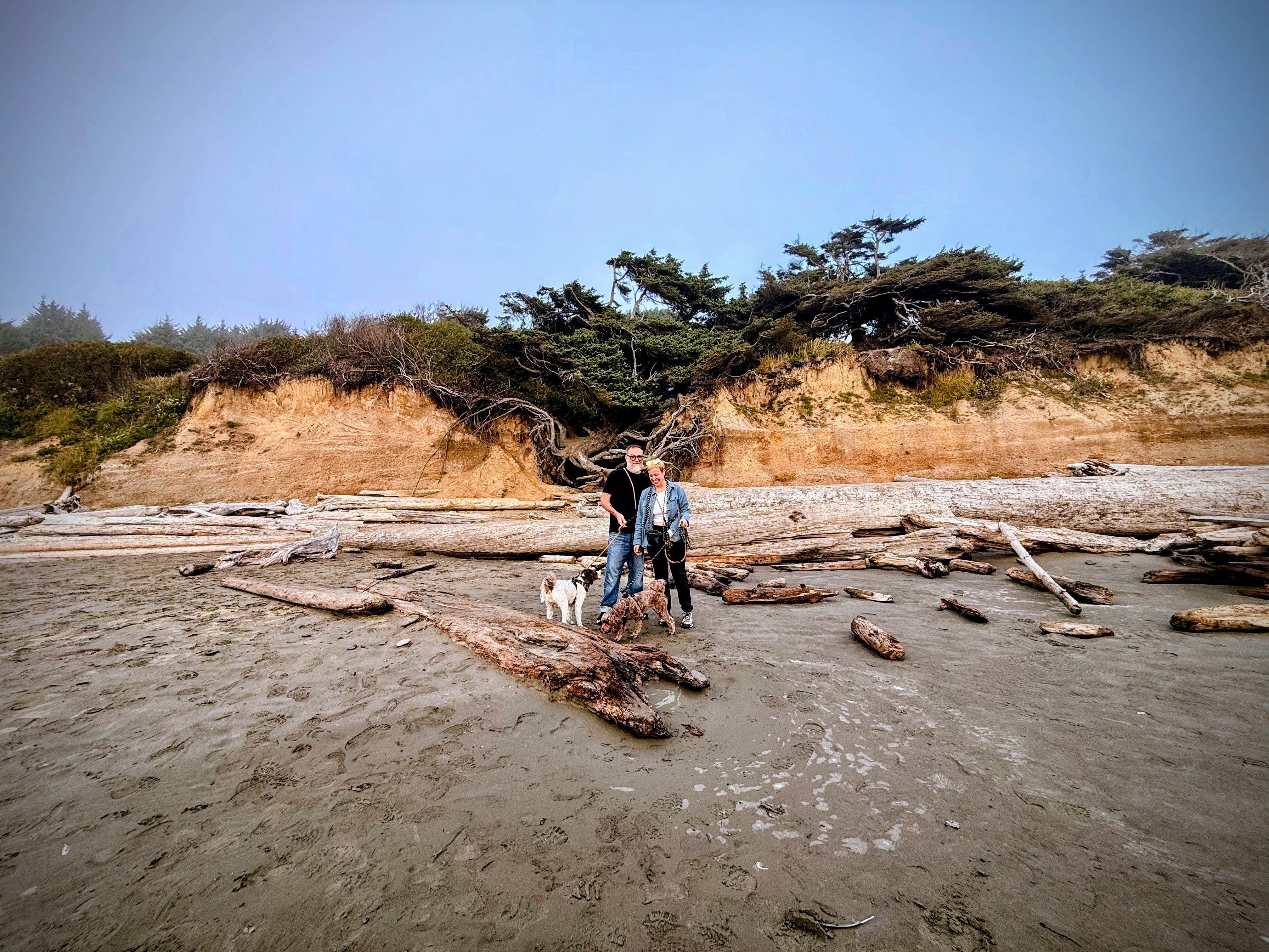 Jason K.'s photo of camping with pets at Kalaloch Campground - group — Olympic National Park near La Push, WA