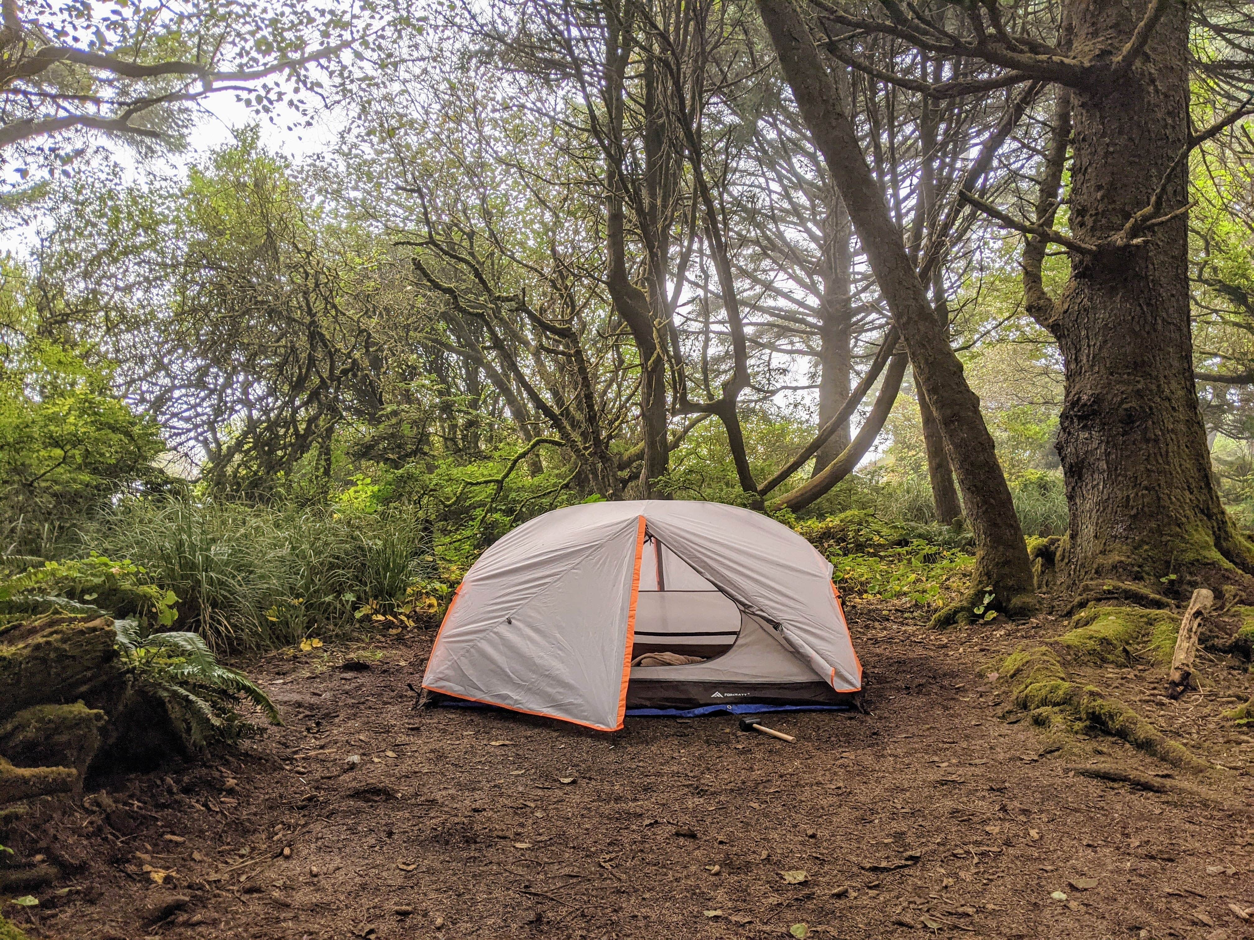 Kathryn T.'s photo at Kalaloch Campground - group — Olympic National Park near Taholah, WA