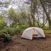 Review photo of Kalaloch Campground - group — Olympic National Park by Kathryn T., September 13, 2025