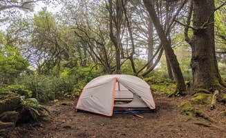 Kathryn T.'s photo at Kalaloch Campground - group — Olympic National Park near Amanda Park, WA