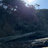 Review photo of Kalaloch Campground - group — Olympic National Park by Ken and Sheryl C., April 5, 2026