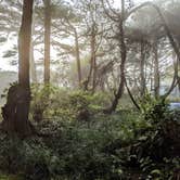 Review photo of Kalaloch Campground - group — Olympic National Park by Kathryn T., September 13, 2025