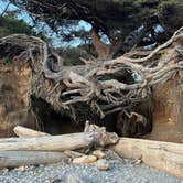 Review photo of Kalaloch Campground - group — Olympic National Park by James M., May 12, 2024