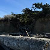 Review photo of Kalaloch Campground - group — Olympic National Park by Ken and Sheryl C., April 5, 2026
