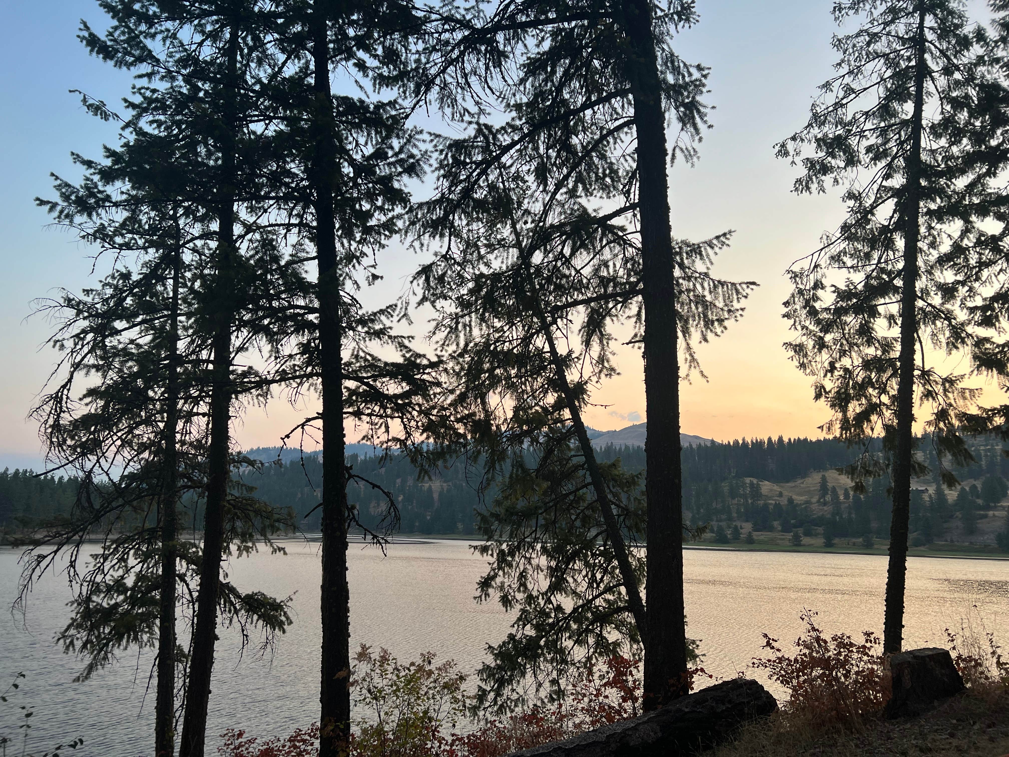 Camper submitted image from Kamloops Campground — Lake Roosevelt National Recreation Area - 2