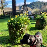 Review photo of Kamp Klamath RV Park and Campground by Libre J., March 4, 2026