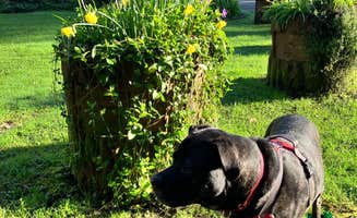 Libre J.'s photo of camping with pets at Kamp Klamath RV Park and Campground near Orick, CA