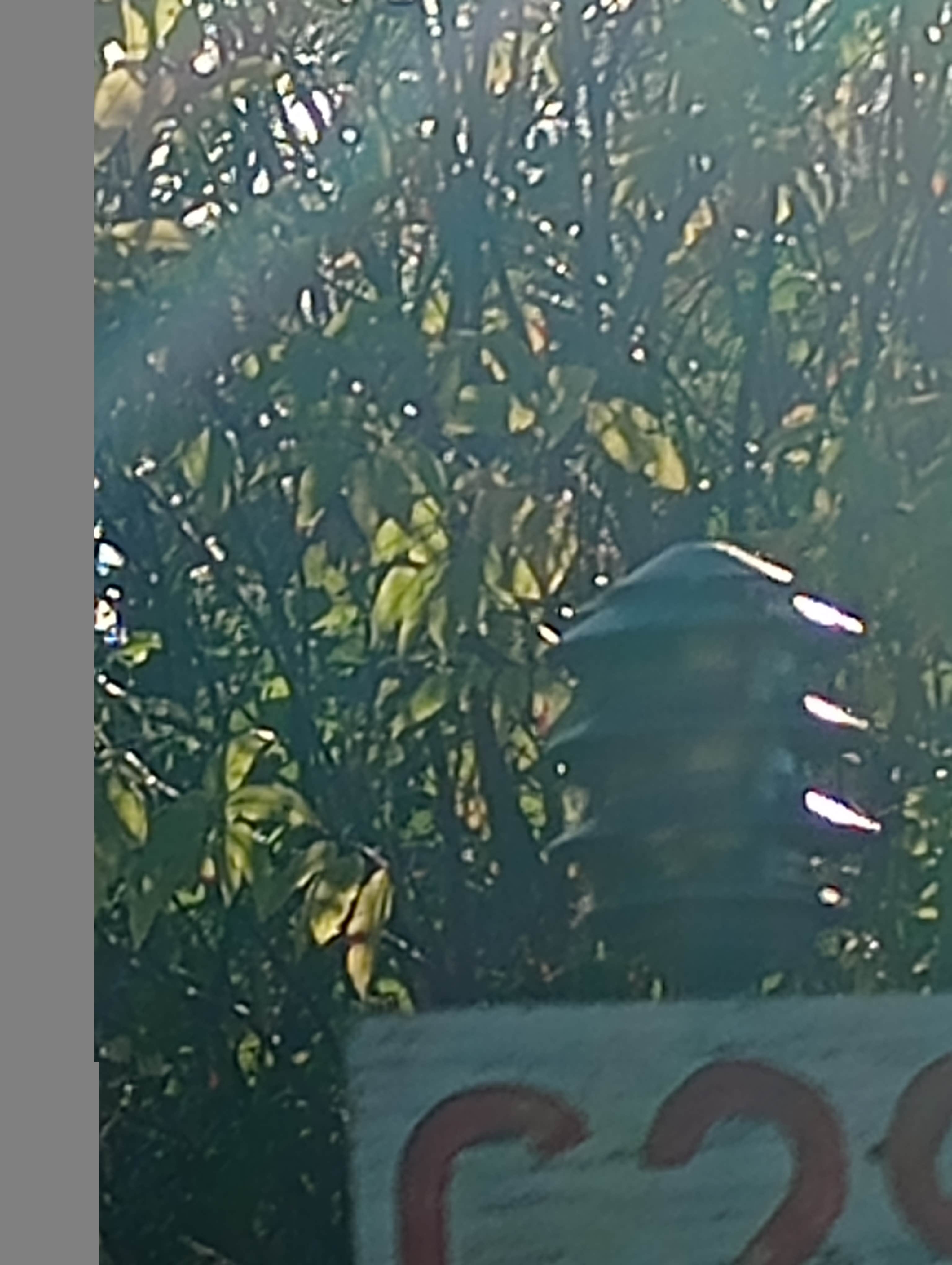 Camper-submitted photo at Kampers West RV Park near Astoria, OR