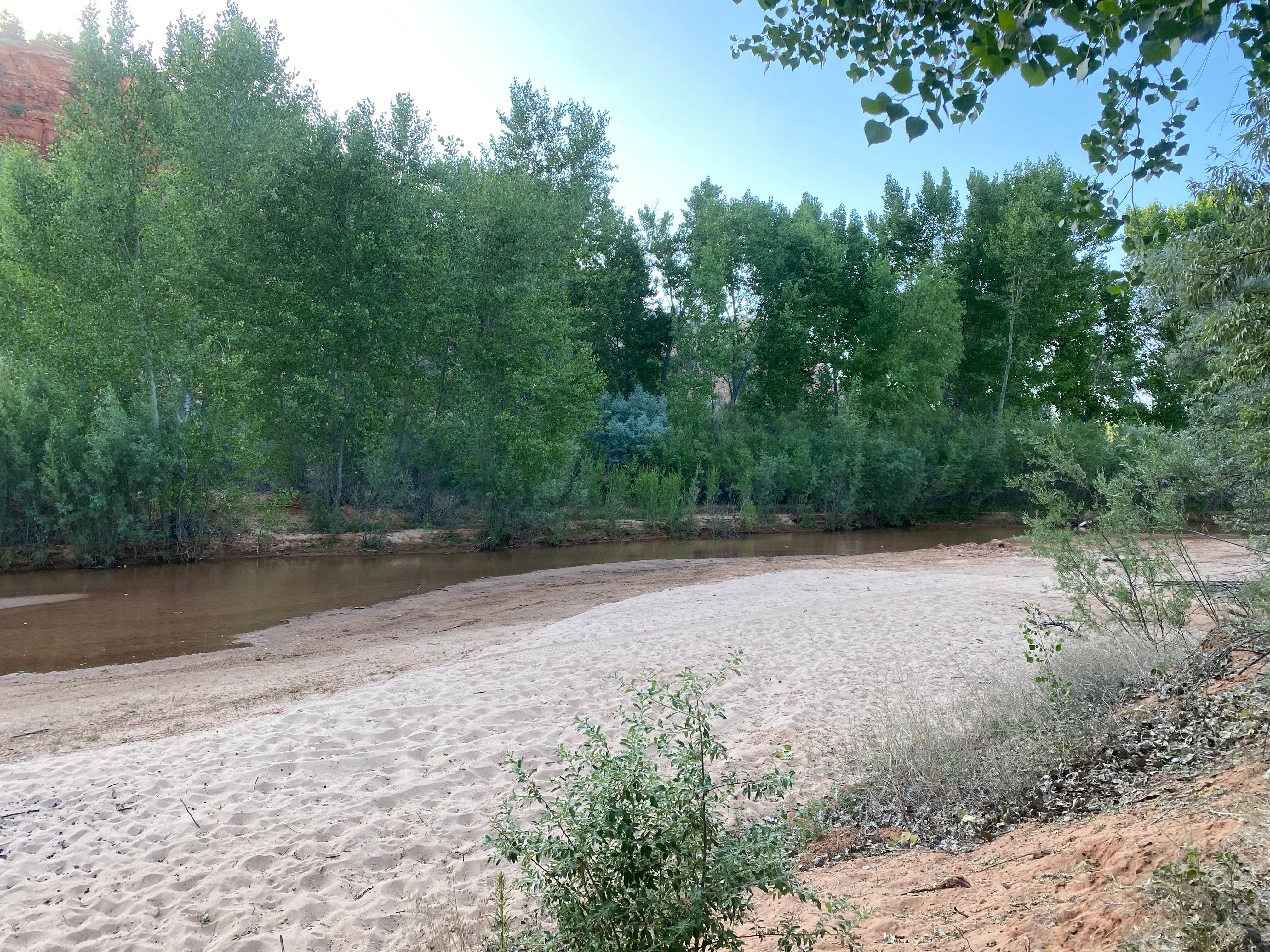 Camper submitted image from Kanab Creek / Greenhalgh Trail - 4