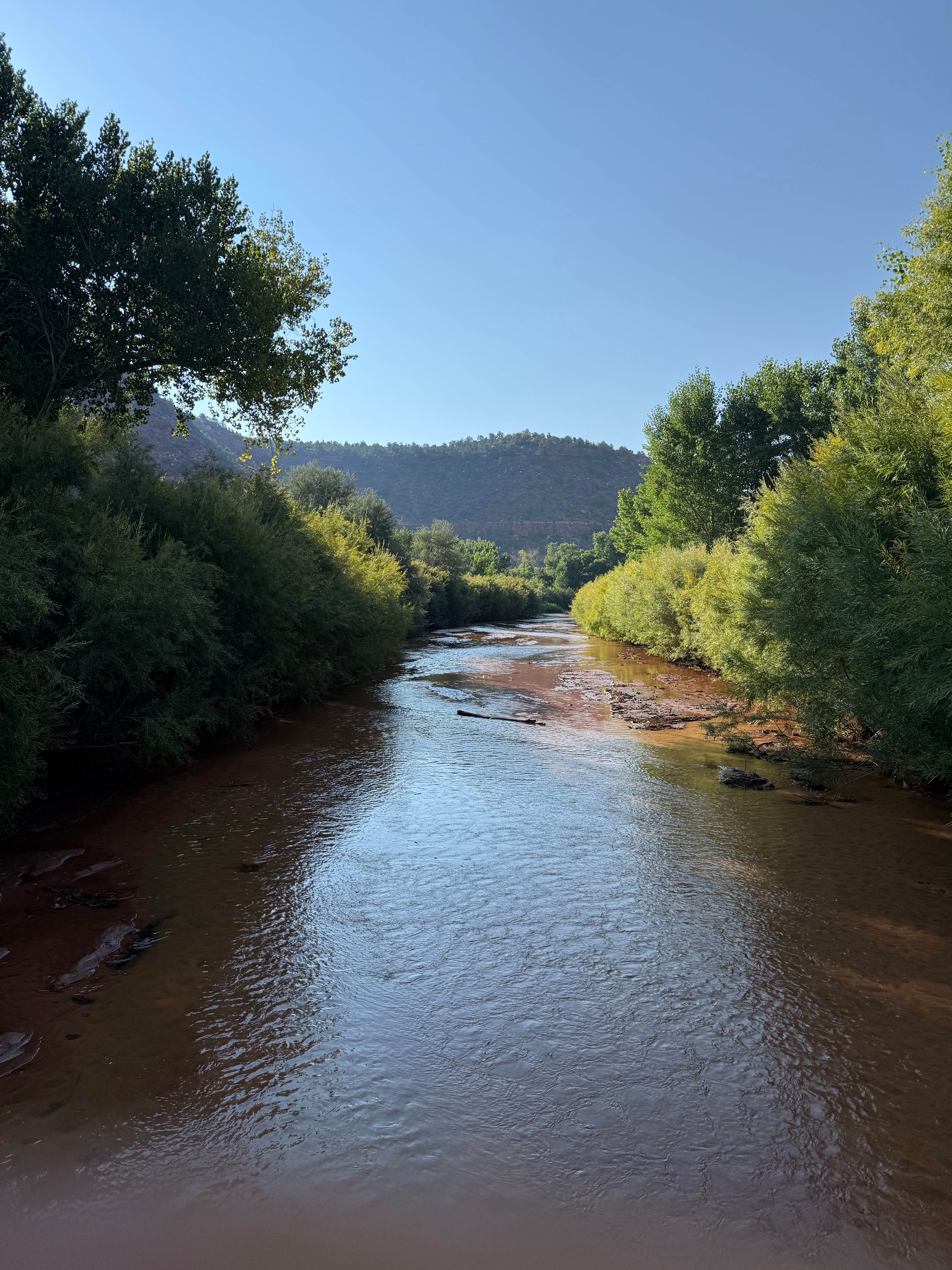Camper-submitted photo at Kanab Creek / Greenhalgh Trail near Fredonia, AZ