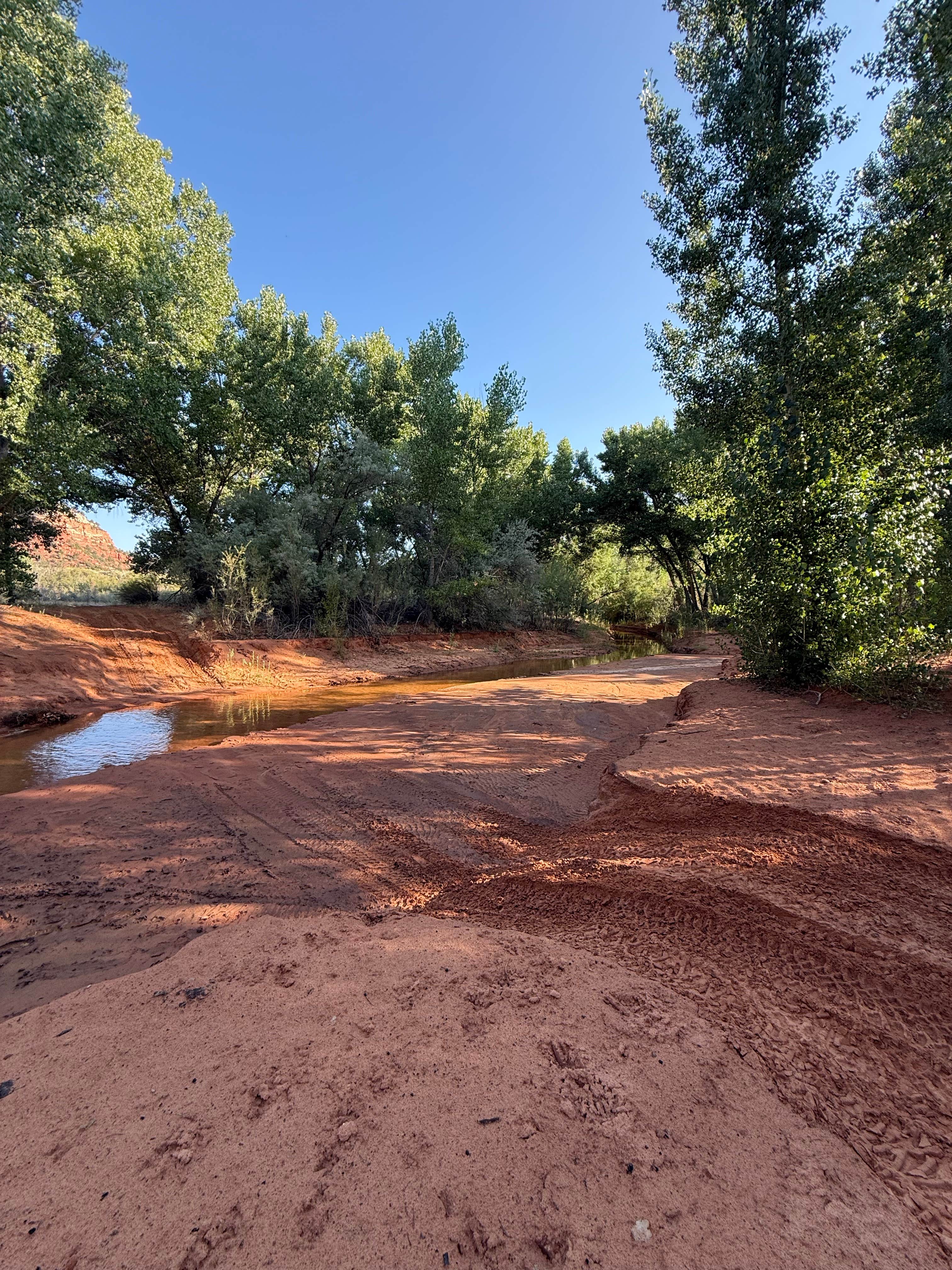 Camper-submitted photo at Kanab Creek / Greenhalgh Trail near Fredonia, AZ