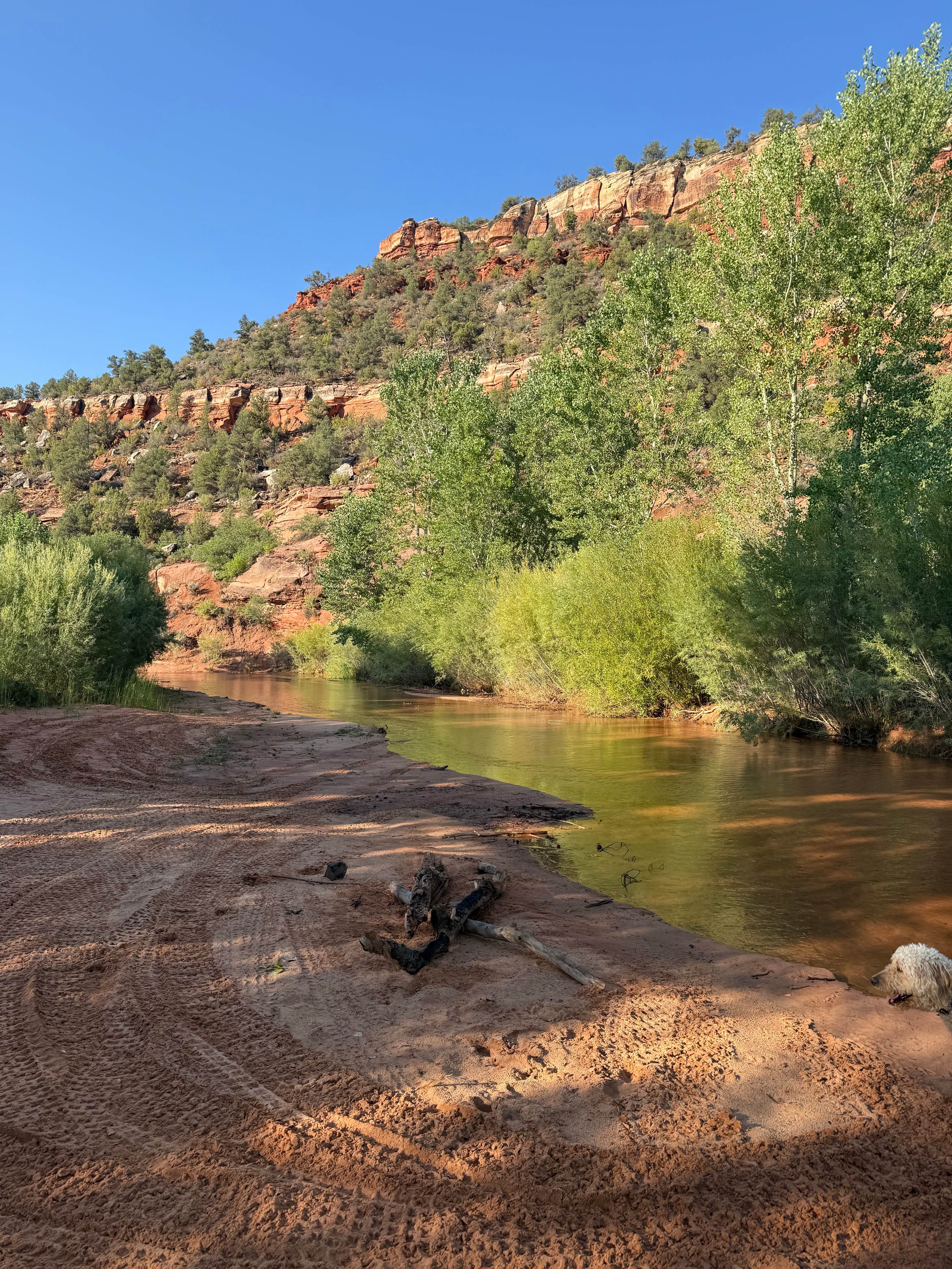 Camper submitted image from Kanab Creek / Greenhalgh Trail - 5