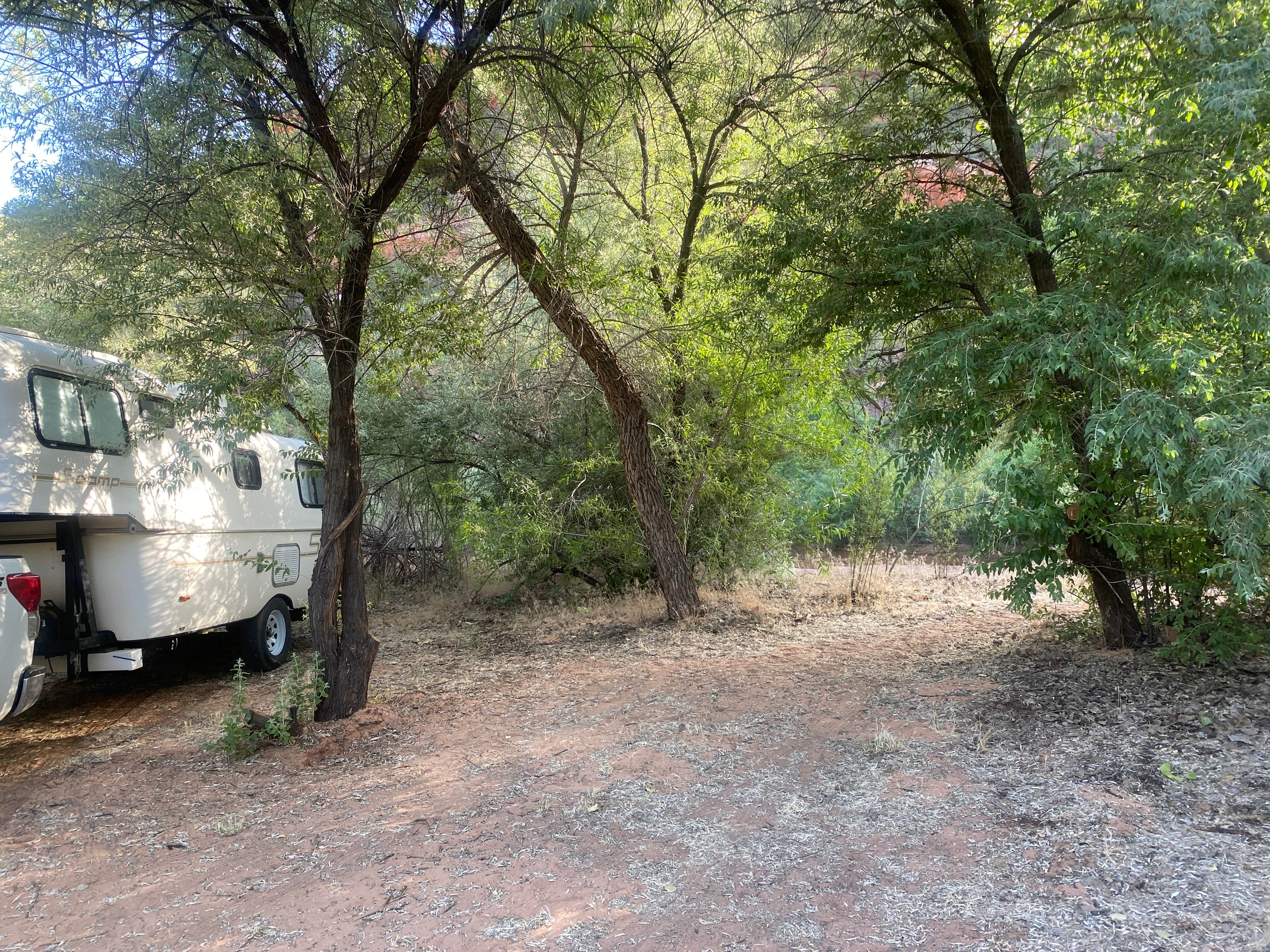 Camper submitted image from Kanab Creek / Greenhalgh Trail - 3