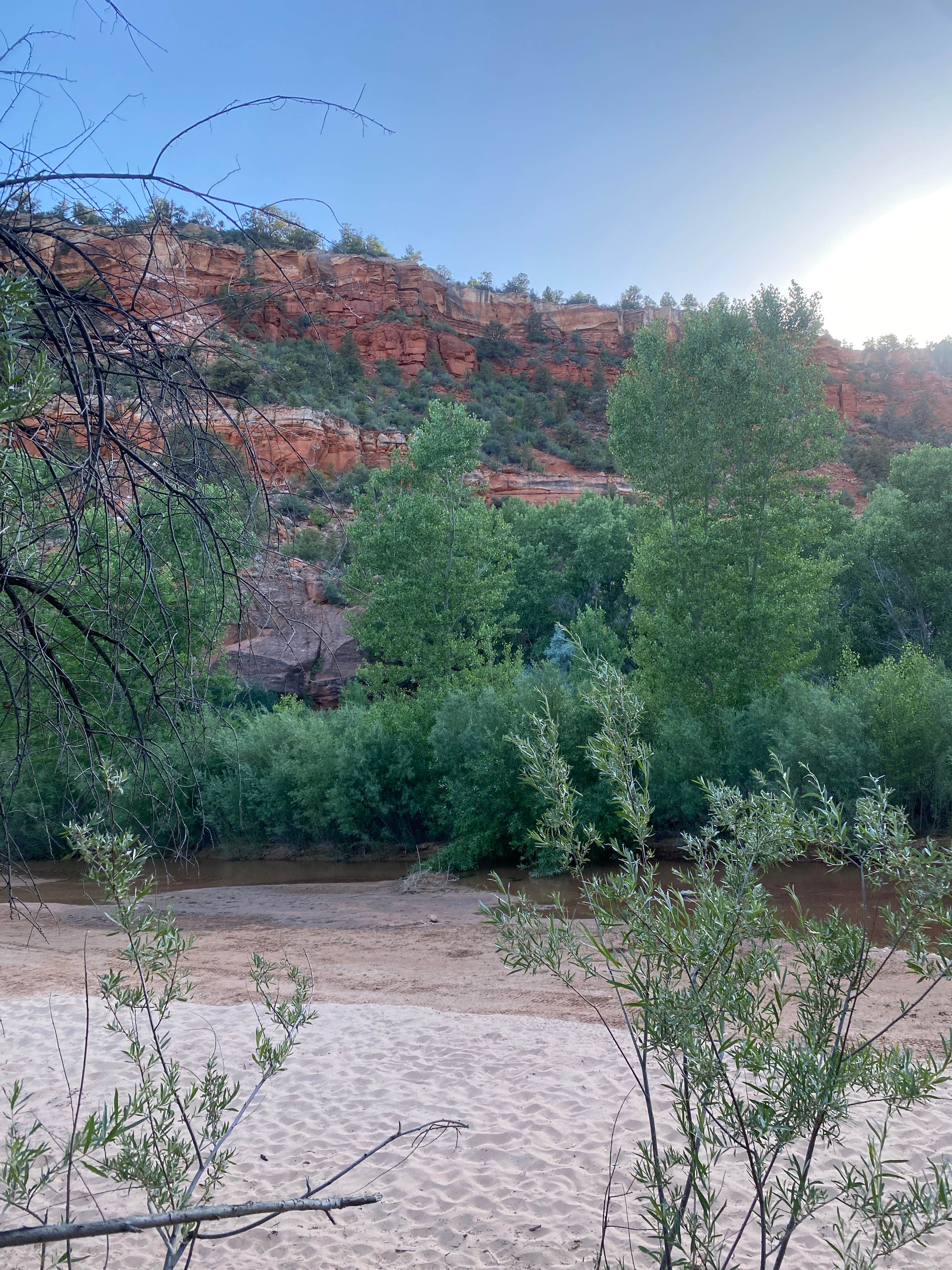 Camper submitted image from Kanab Creek / Greenhalgh Trail - 2