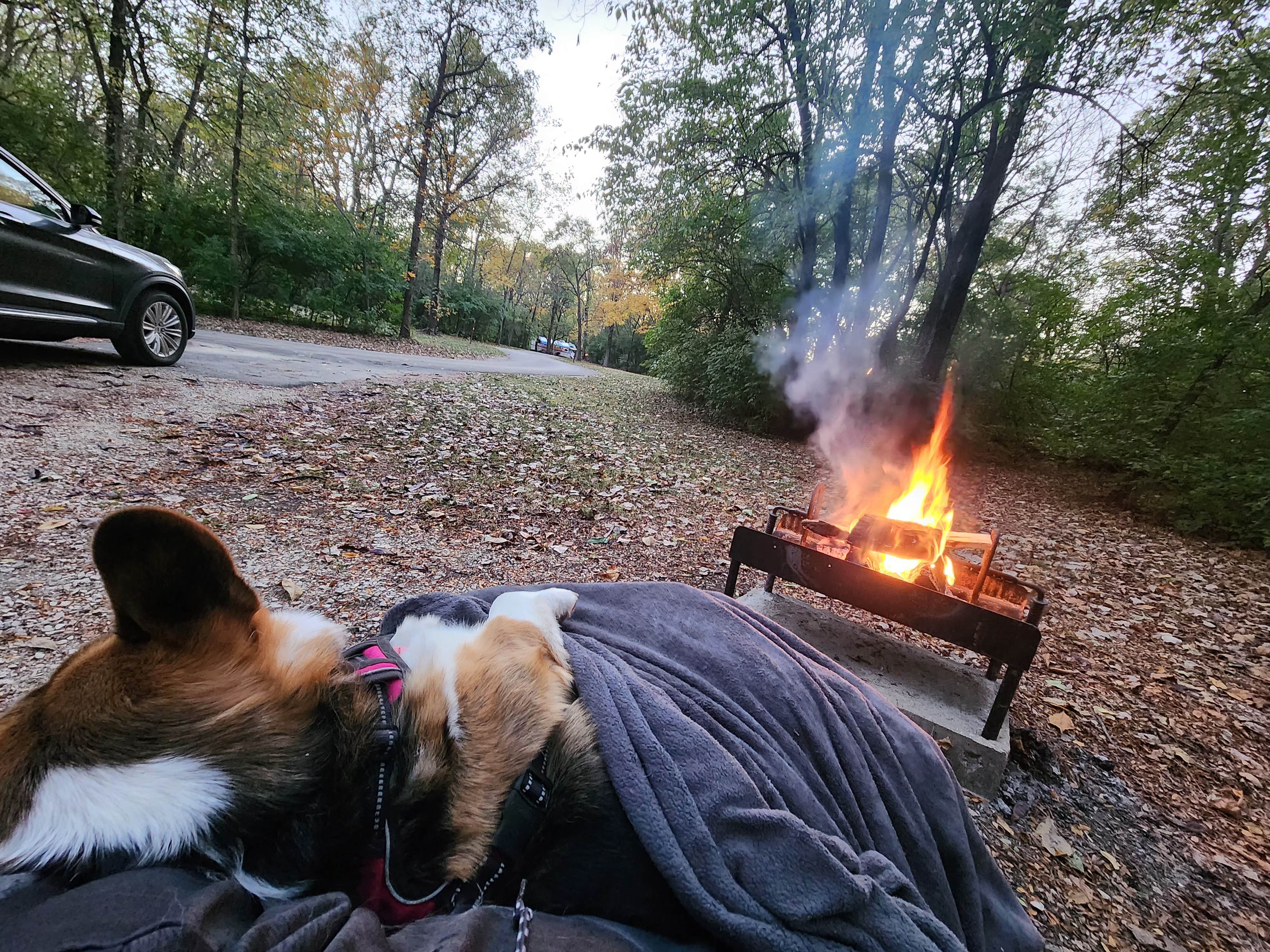 Nicole K.'s photo of camping with pets at Potowatomi Campground — Kankakee River State Park near Pontiac, IL