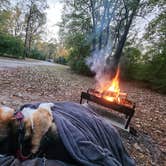 Review photo of Potowatomi Campground — Kankakee River State Park by Nicole K., November 2, 2025