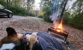 Nicole K.'s photo of camping with pets at Potowatomi Campground — Kankakee River State Park near Manhattan, IL