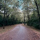 Review photo of Potowatomi Campground — Kankakee River State Park by Emma H., September 24, 2025